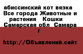 абиссинский кот вязка - Все города Животные и растения » Кошки   . Самарская обл.,Самара г.